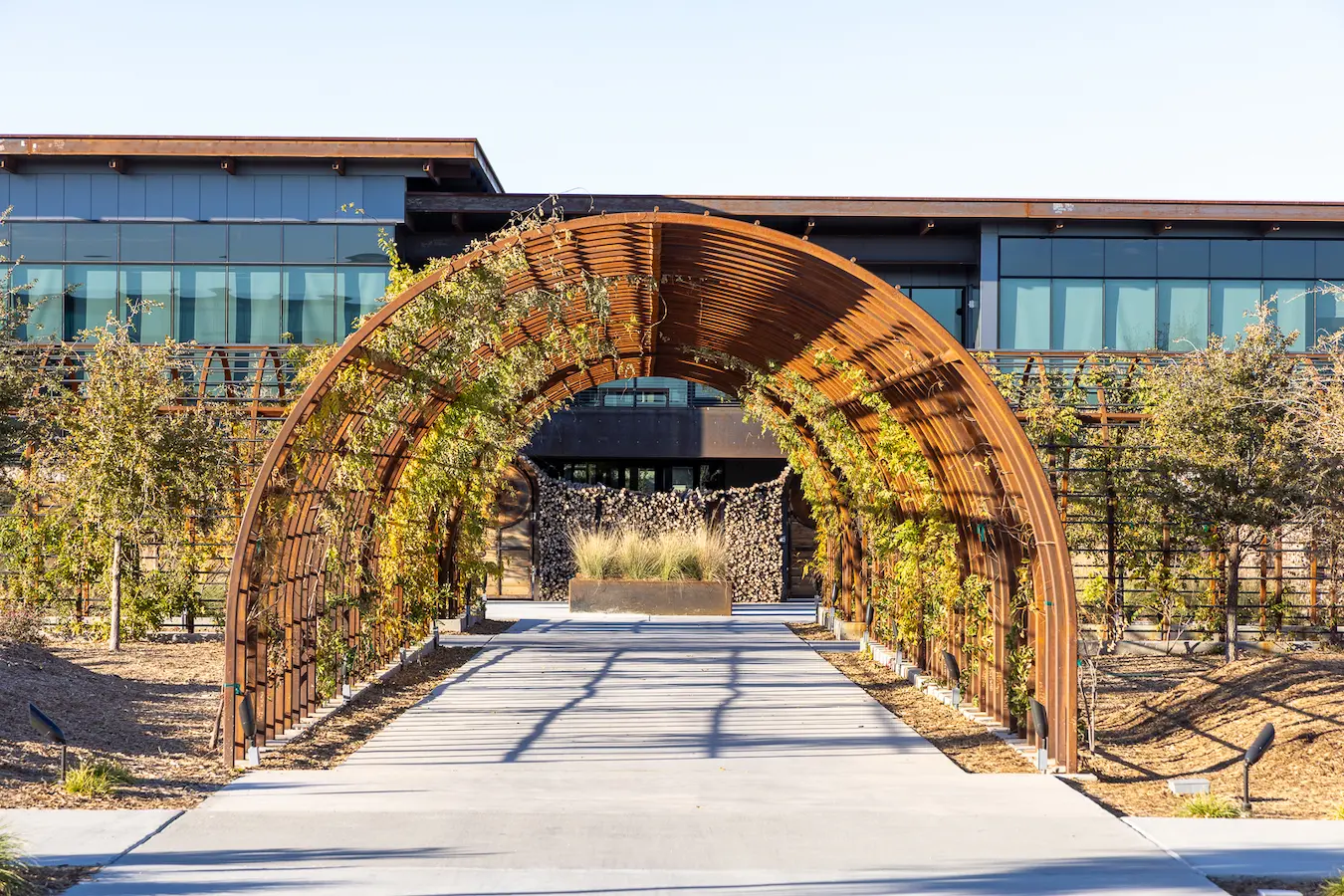 lattice arch with plants growing through it